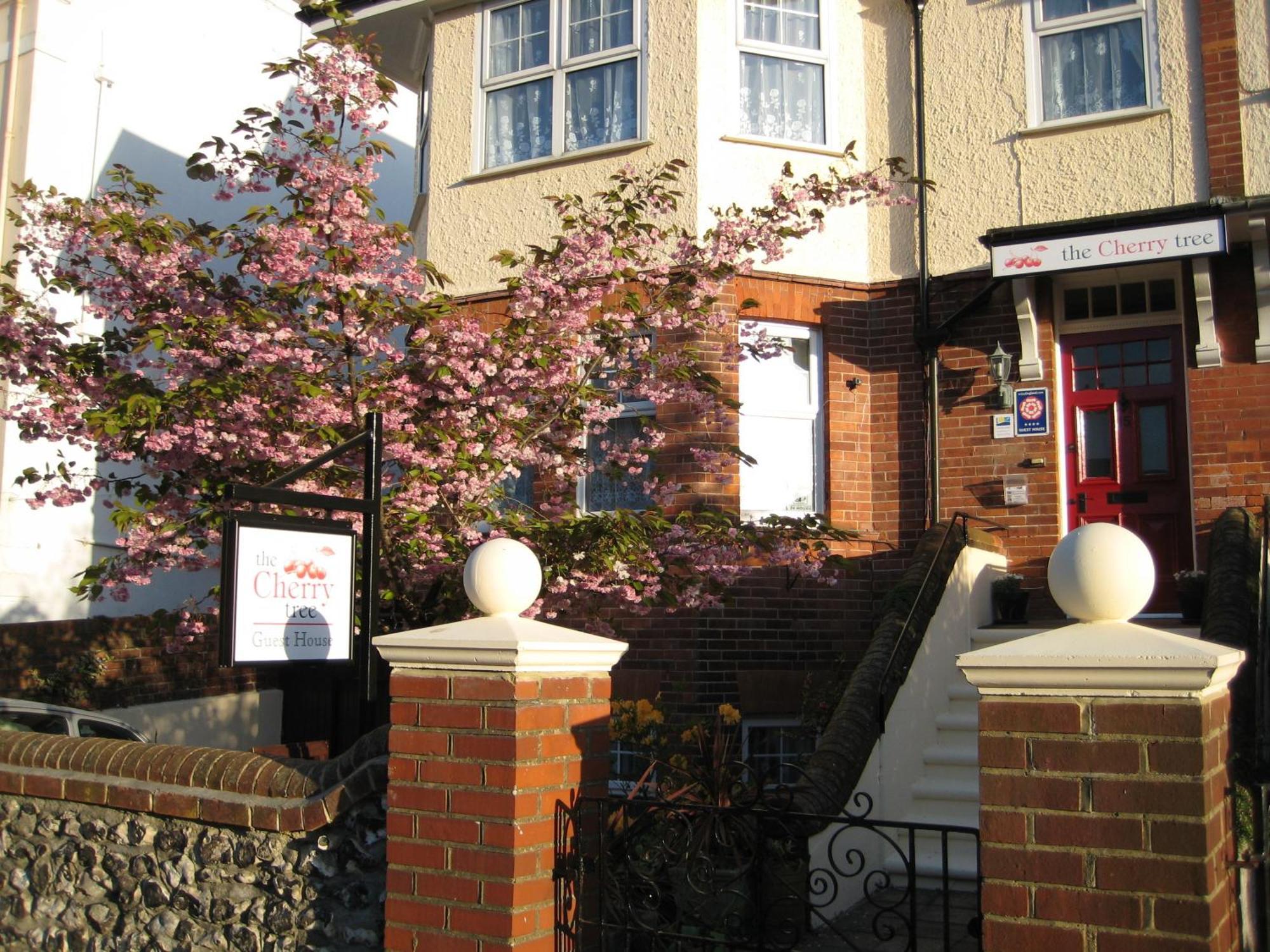 The Cherry Tree Guest House Eastbourne Kültér fotó