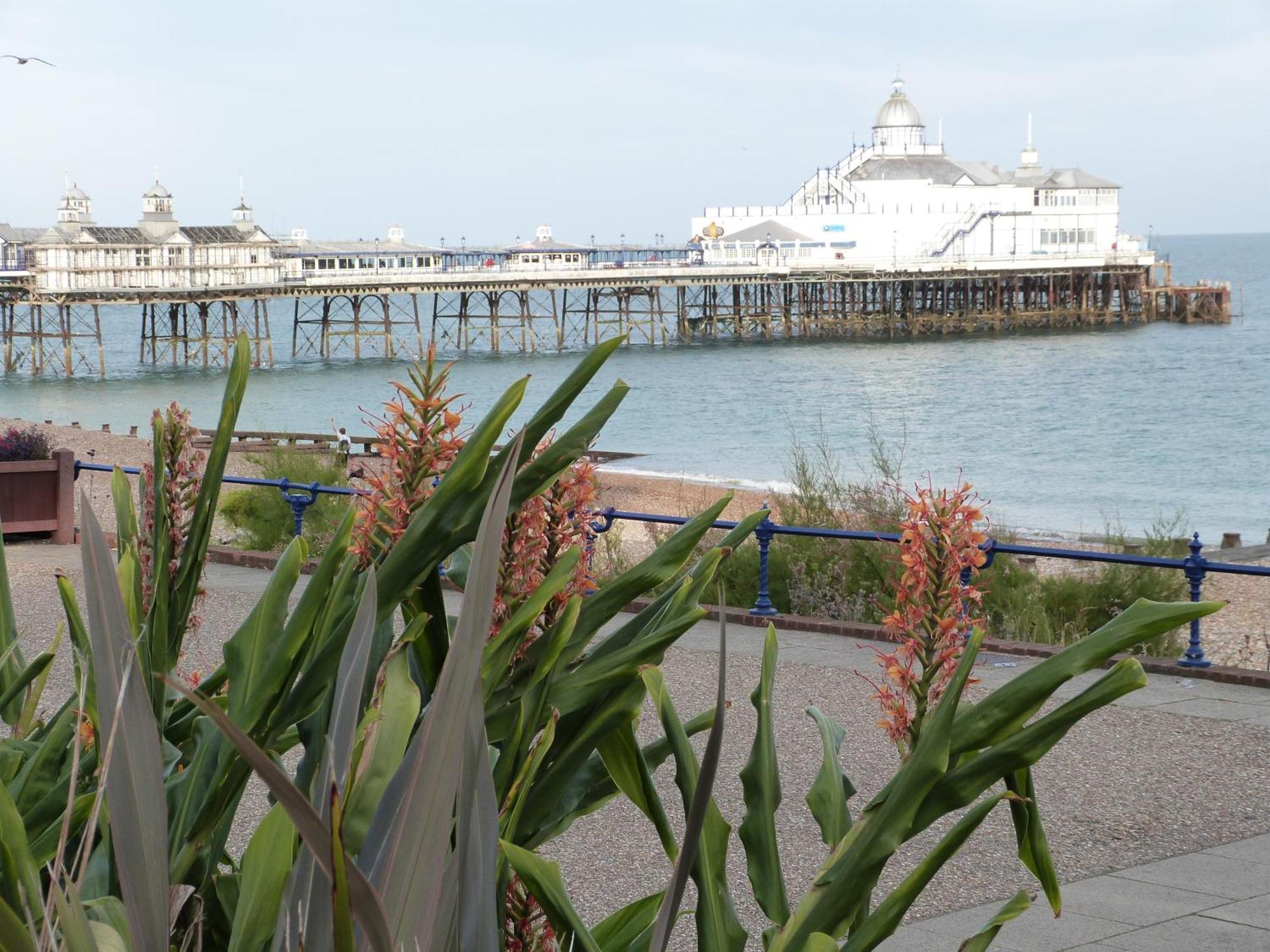 The Cherry Tree Guest House Eastbourne Kültér fotó
